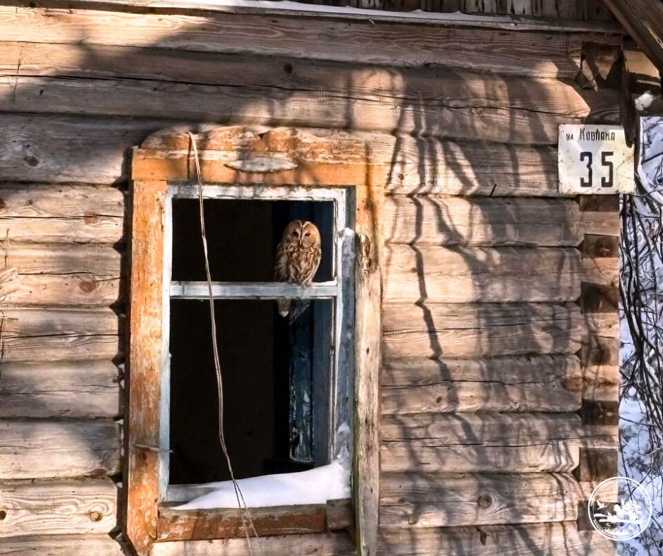 Скільки населених пунктів залишилися безлюдними після аварії на ЧАЕС?