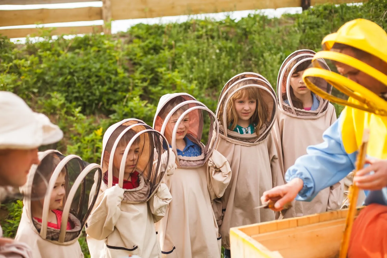Профорієнтація в школі: які програми існують, із чого починати та як підтримати дитину у виборі професії