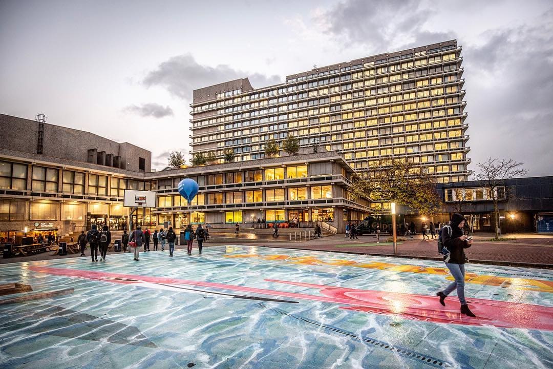 Освітня дипломатія солідарності: як університети Нідерландів відкривають Україні шлях до європейських альянсів