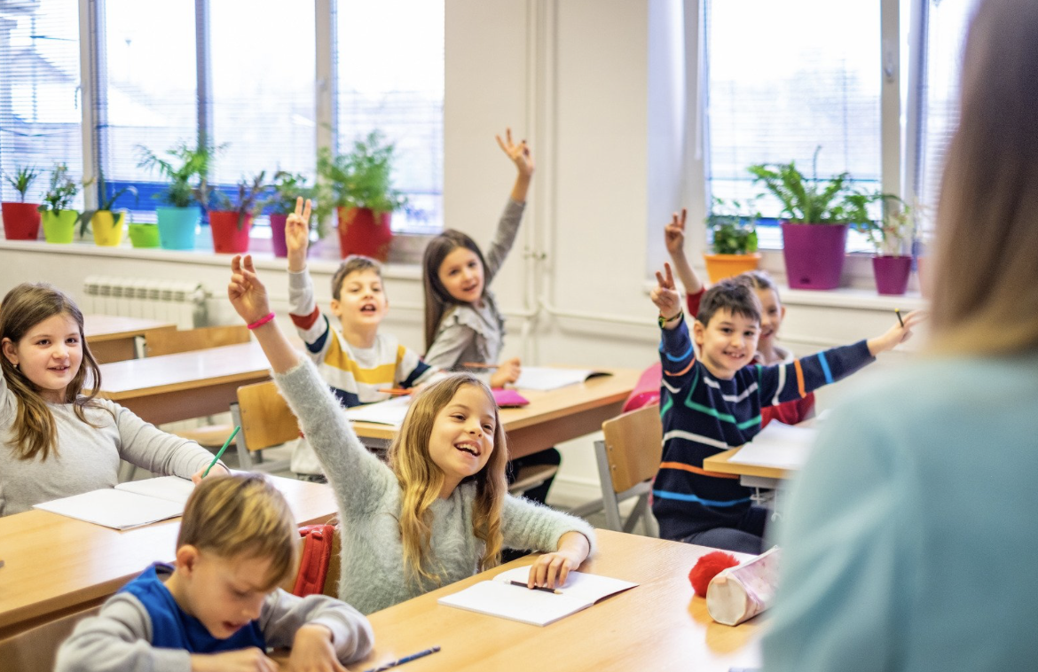 Освітній адвент-календар: учнівство 5–11-х класів запрошують у святкову онлайн-пригоду з пінгвіном Верном